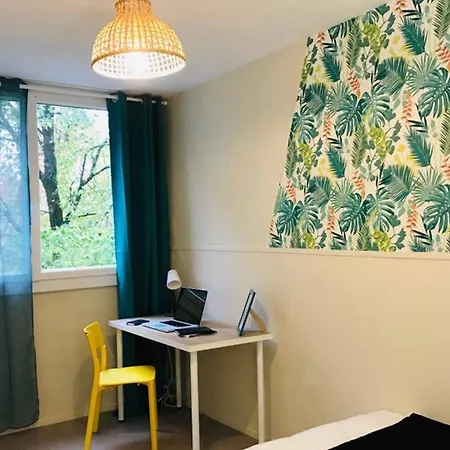T4 75 M2 Esprit Jungle Dans Cocon De Verdure Pau